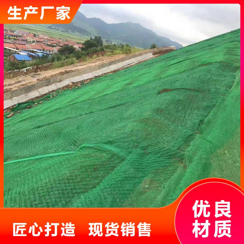 三維植被網(wǎng)軟式透水管按需定制