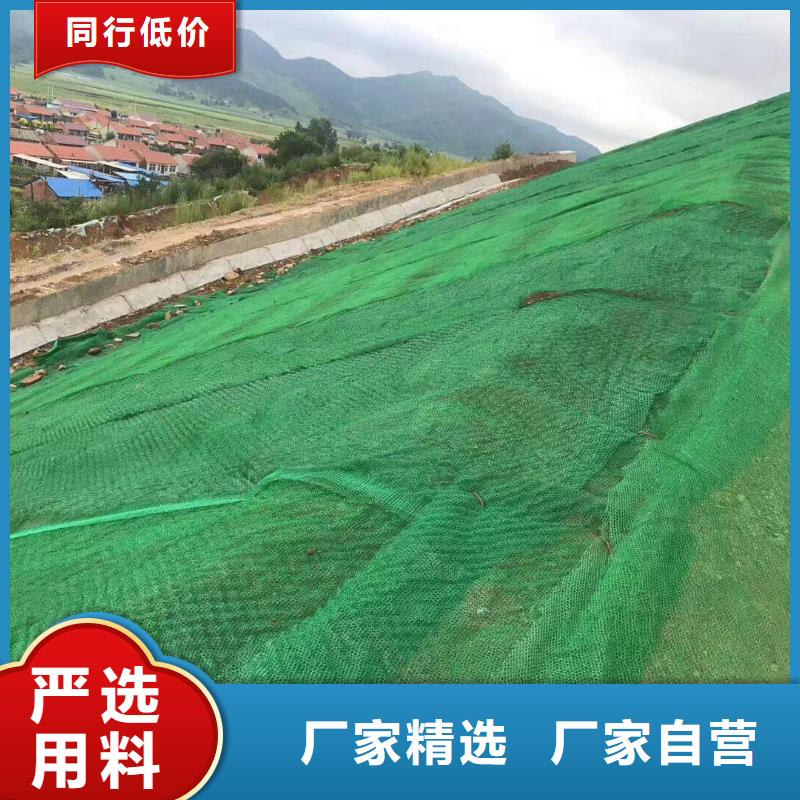 三維植被網軟式透水管產地工廠