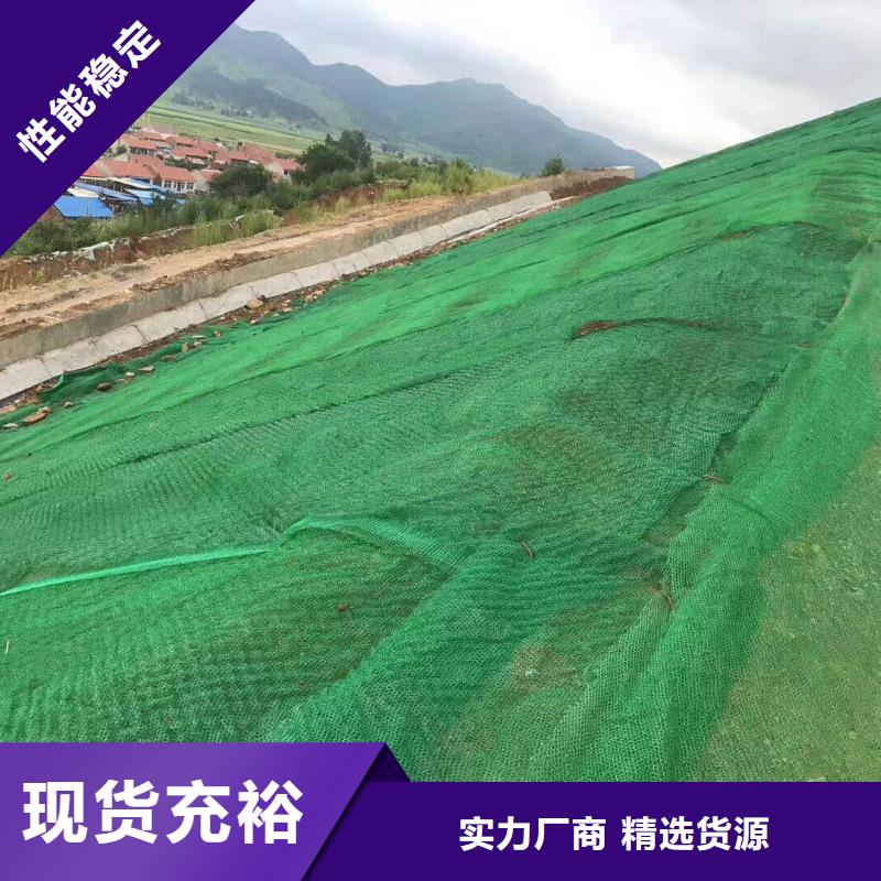 三維土工網墊廠家好貨源好價格-億路通新材料有限公司三維土工網墊技術參數