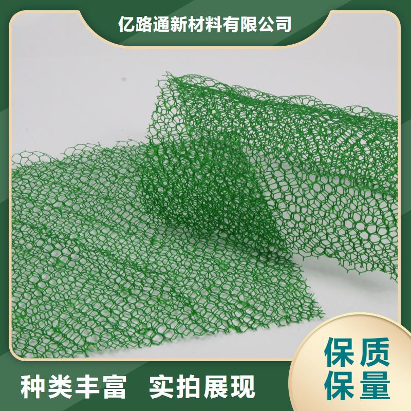 三維植被網【鋼塑土工格柵】廠家售后完善