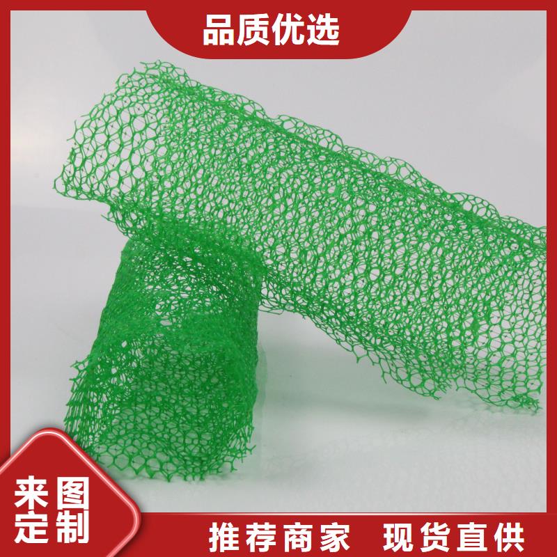 三維植被網復合土工膜品質服務