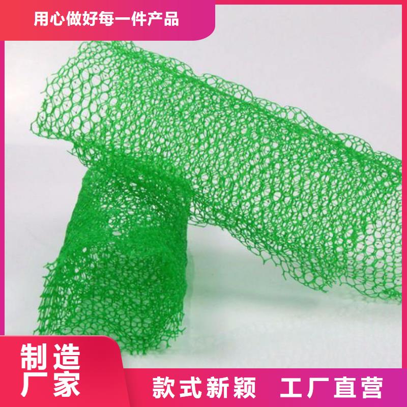 【三維植被網玻璃纖維土工格柵我們更專業】