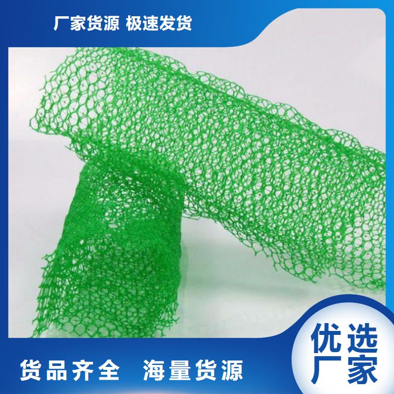 【三維植被網(wǎng)-長絲無紡?fù)凉げ紝I(yè)完善售后】