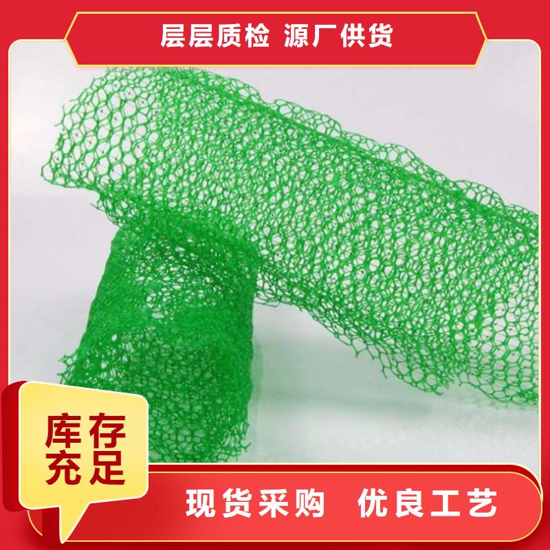 三維植被網|三維土工網墊【三維植被網廠家】