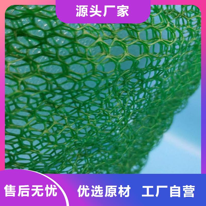 三維土工網墊廠家好貨源好價格-億路通新材料有限公司三維土工網墊技術參數