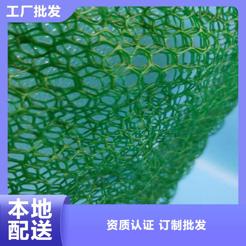 三維植被網(wǎng)|三維土工網(wǎng)墊【三維植被網(wǎng)廠家】