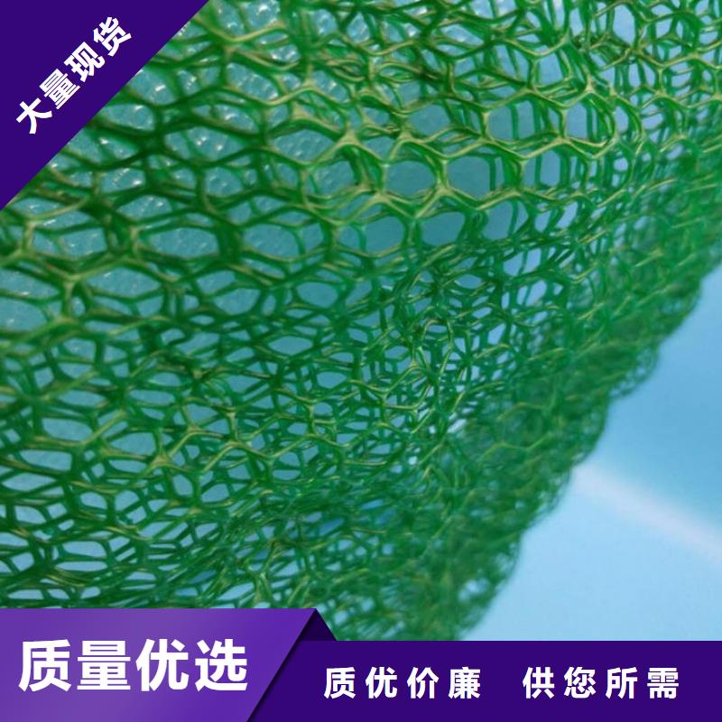 三維植被網【土工布批發】品質好才是硬道理