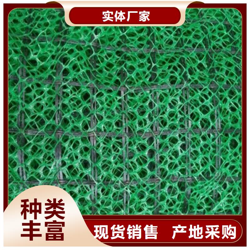 三維植被網(wǎng)聚丙烯雙拉土工格柵誠信商家服務(wù)熱情