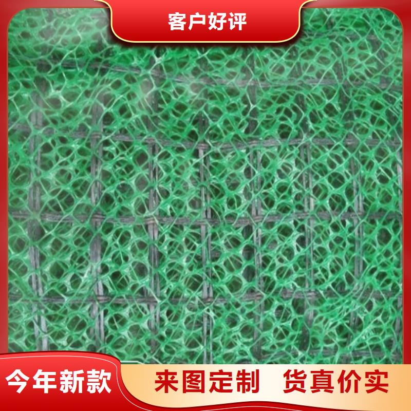 三维植被网玻纤土工格栅按需定做