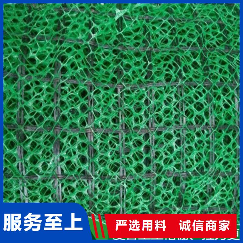 三維植被網玻璃纖維土工格柵專業生產設備