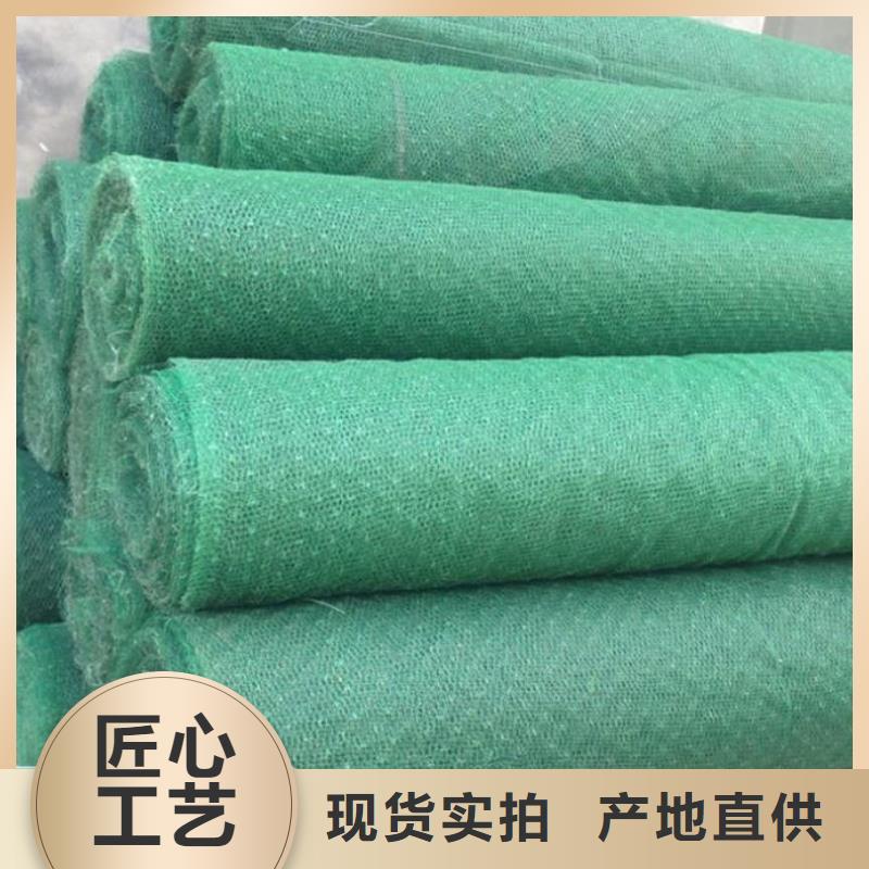 【三維植被網,短絲土工布口碑好實力強】