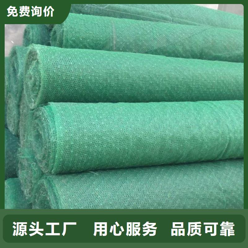三維植被網(wǎng)長絲無紡?fù)凉げ疾馁|(zhì)實(shí)在