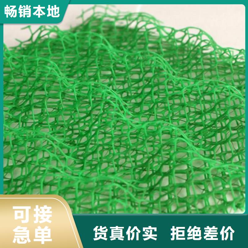 護坡種草三維植被網生產廠家收費標準