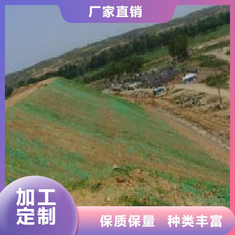 2025三维植被网施工方案