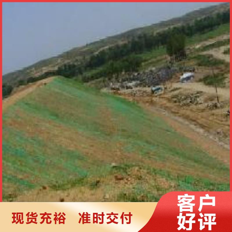 三維植被網規格定制EM2-EM3-EM4-