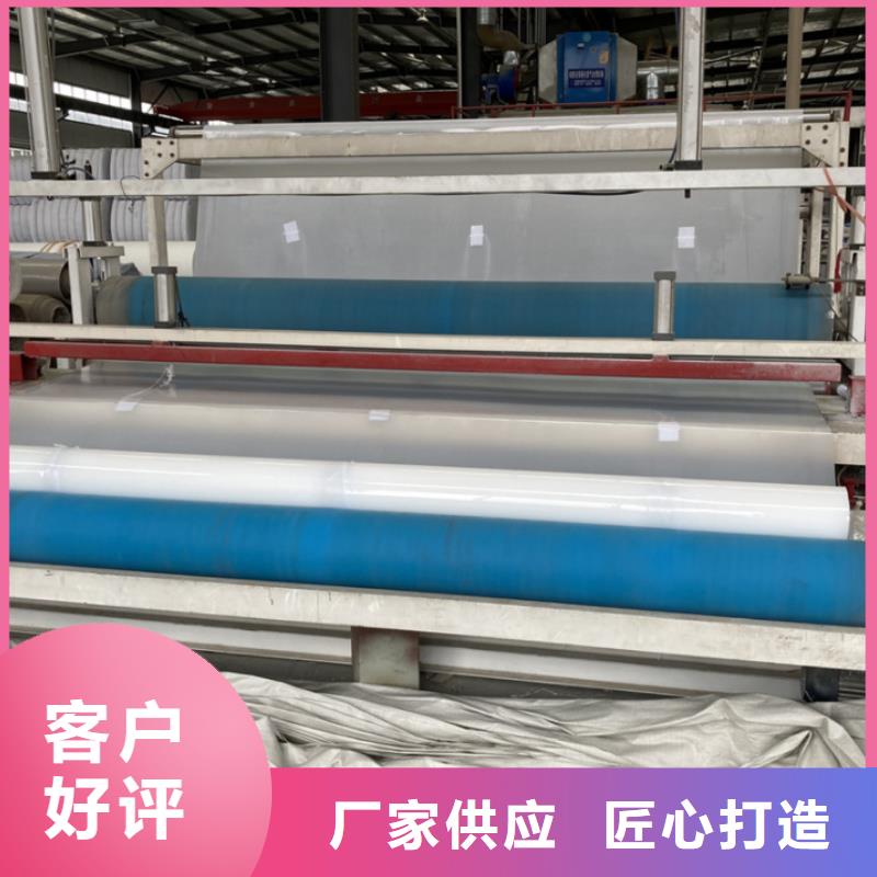 EVA防水板_膨潤(rùn)土防水毯品質(zhì)有保障