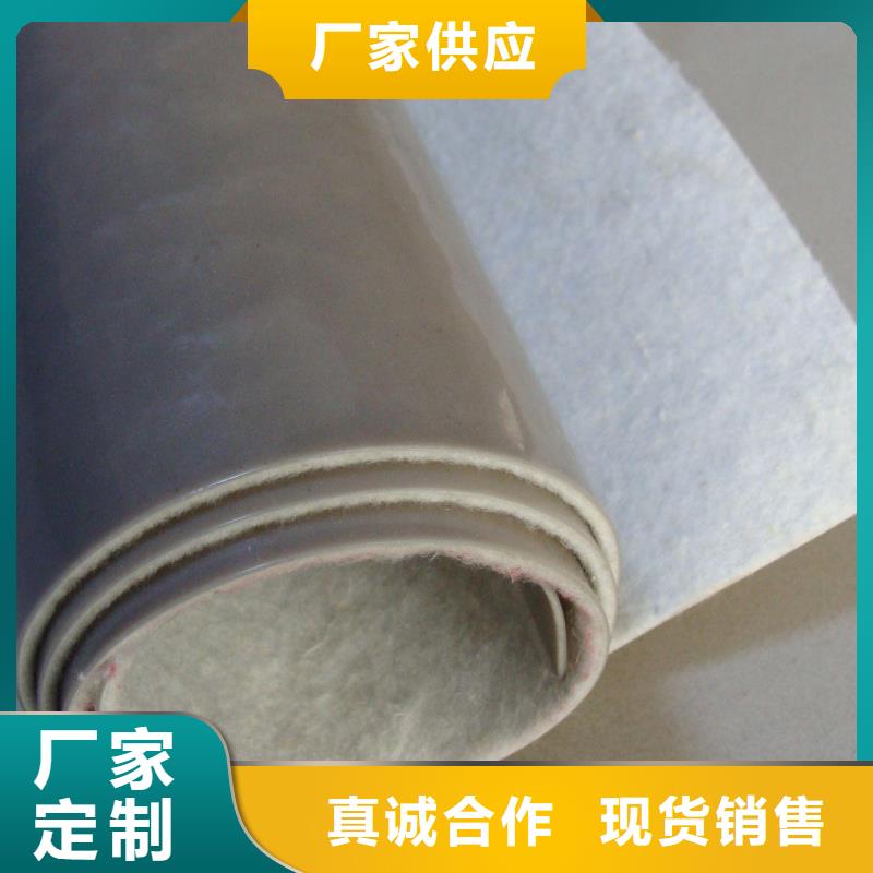 EVA防水板滌綸土工格柵生產(chǎn)加工