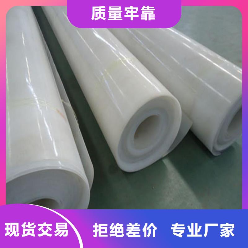 EVA防水板【玻璃纤维土工格栅】分类和特点|长丝无纺土工布-亿路通新材料(十堰市分公司)