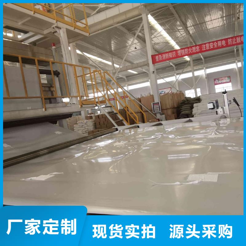 EVA防水板_【防水土工布廠家】嚴(yán)選材質(zhì)