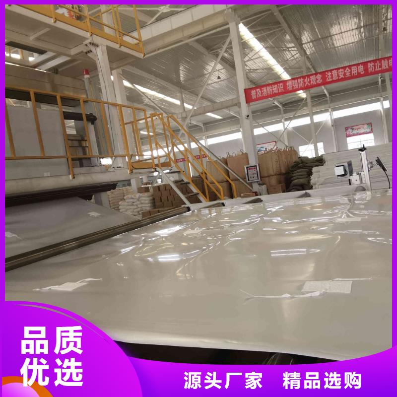 【EVA防水板單向塑料土工格柵的圖文介紹】
