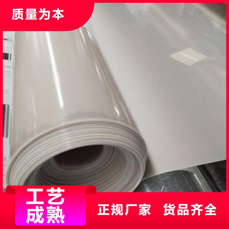 EVA防水板_【防水土工布廠家】嚴(yán)選材質(zhì)