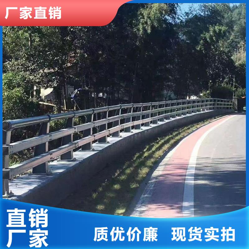 規(guī)模大的防撞護欄廠家