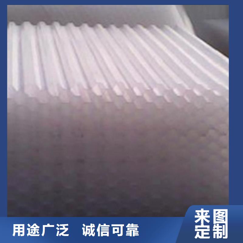 PP斜管填料實力廠家