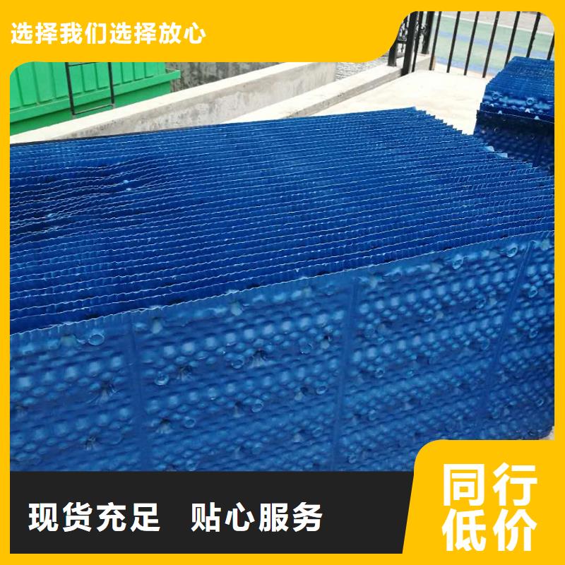 斜管填料活性炭專注細節專注品質