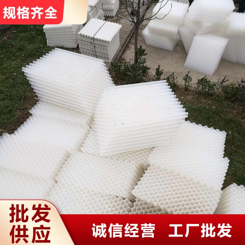 斜管填料活性炭專注細節專注品質