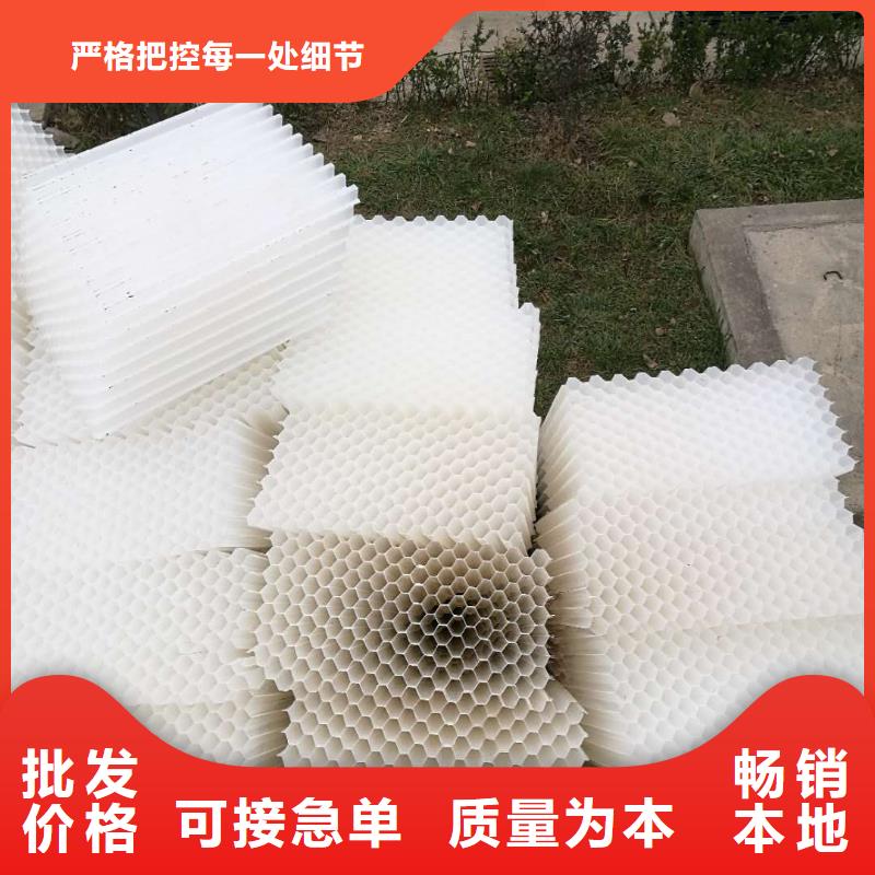 斜管填料活性炭專注細(xì)節(jié)專注品質(zhì)