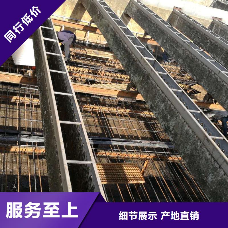 斜管填料活性炭可放心采購