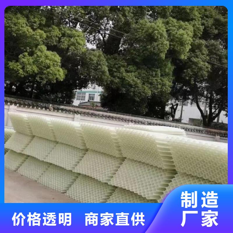 斜管蜂窩活性炭專業(yè)品質(zhì)