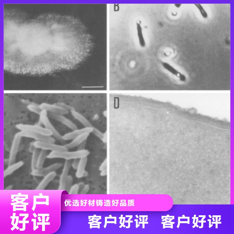 污水处理培养菌种专用碳源货源充足