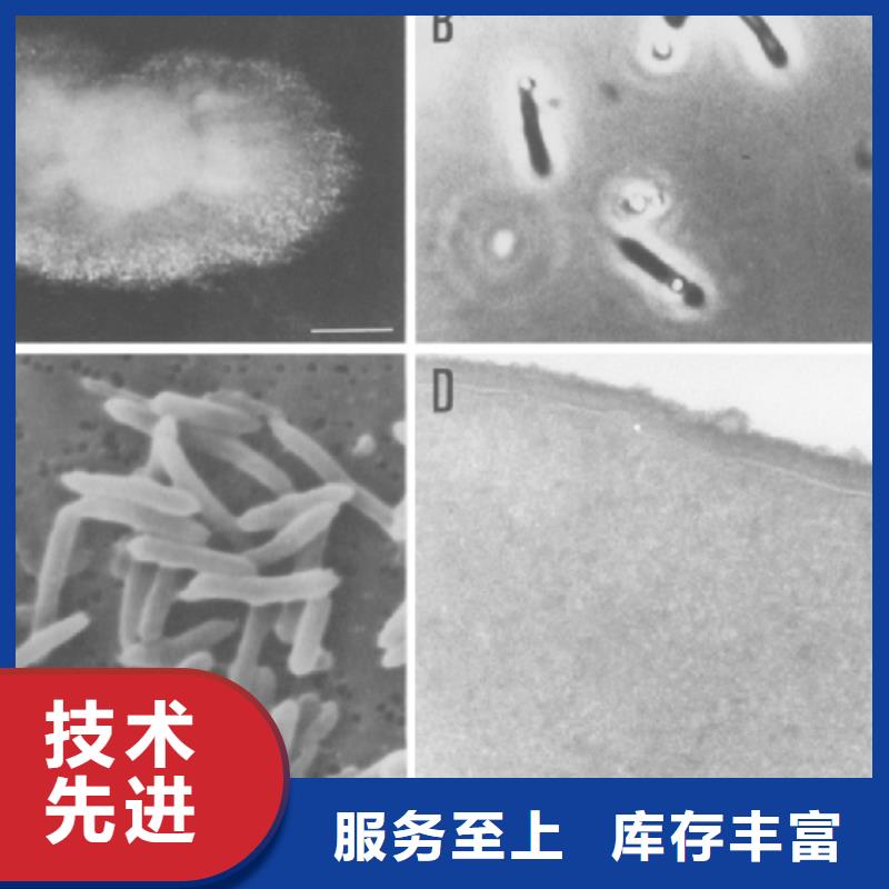 氧化铁脱硫剂视频-氧化铁脱硫剂|内蒙古|包头|兴安|呼和浩特|阿拉善|乌海