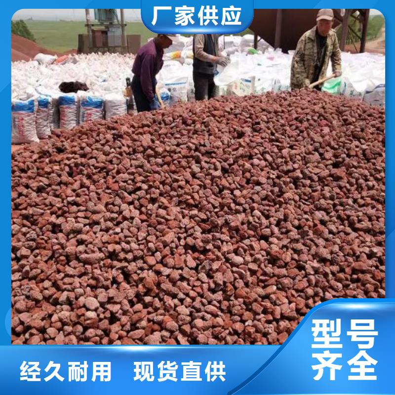 反硝化池用活山巖廠家