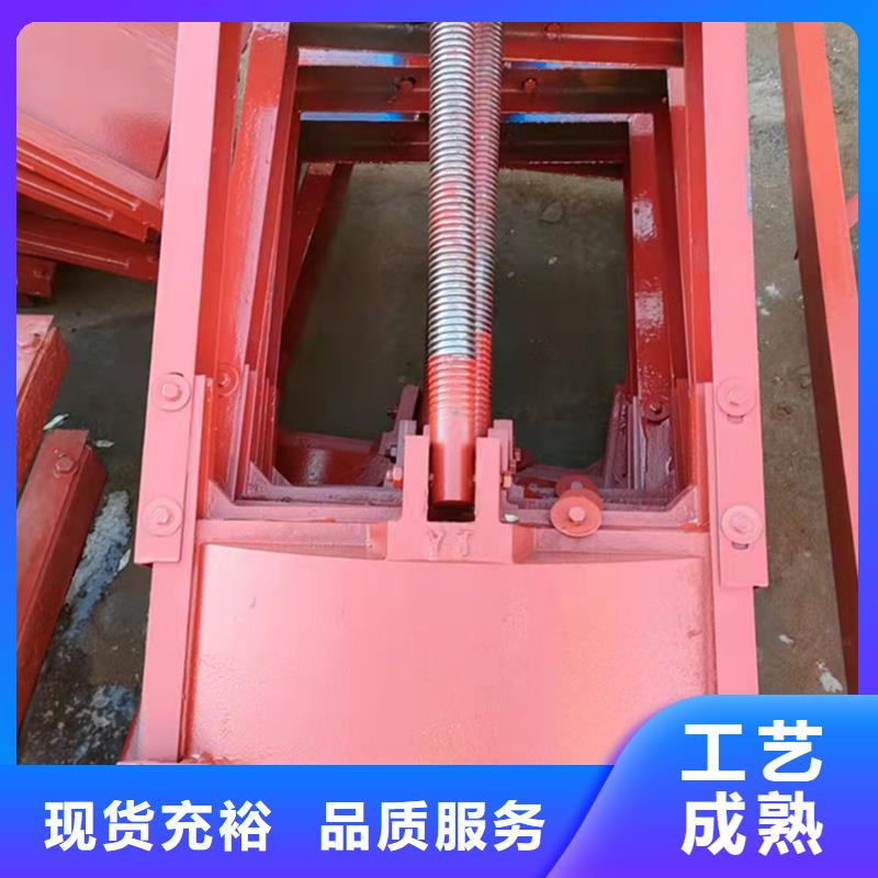 雙向止水閘門廠家現貨