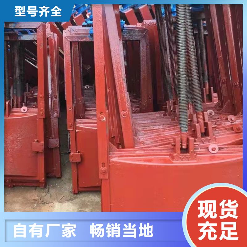【铸铁闸门】泵站清污机源头实体厂商
