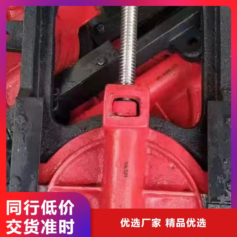 復合閘門可定制