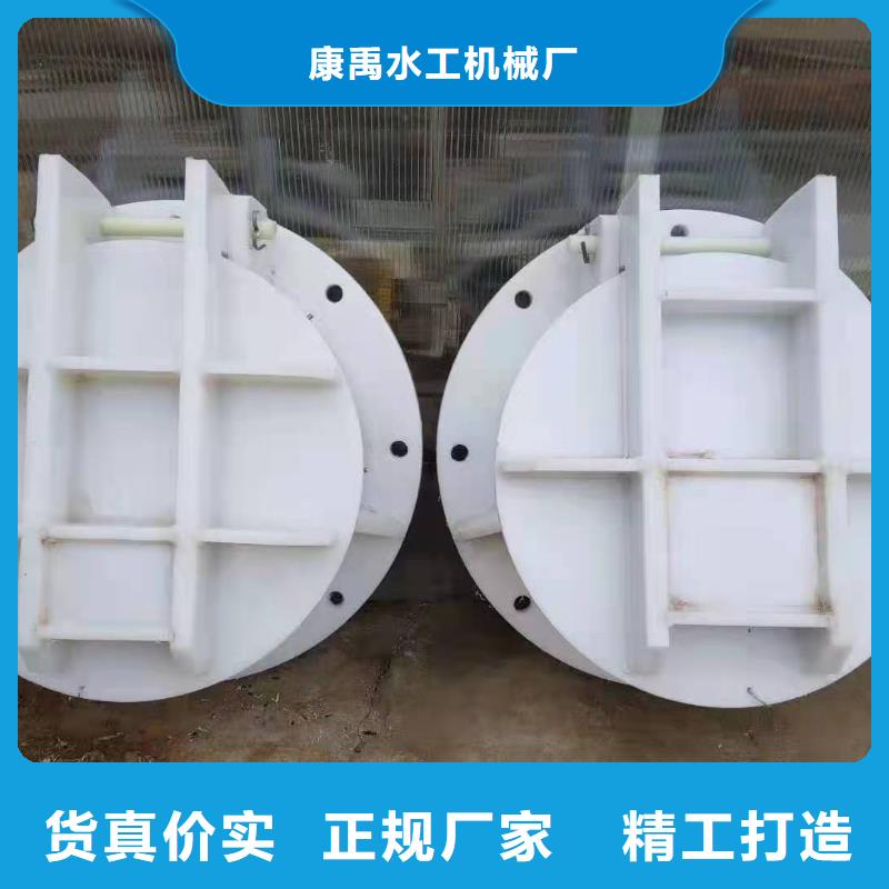 泵站鑄鐵閘門可定制