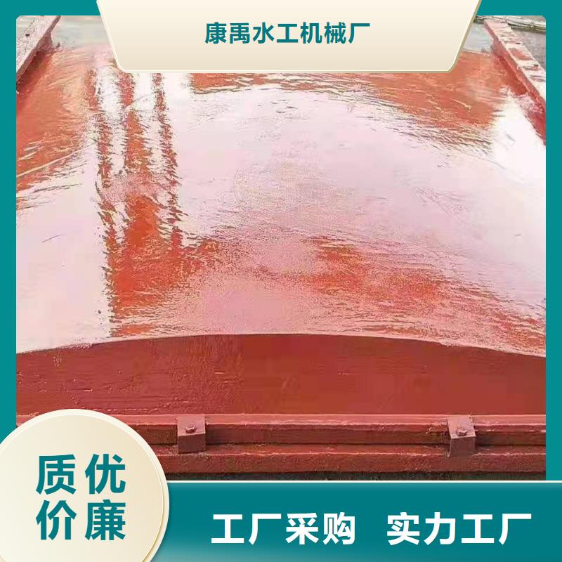 鑄鐵閘門污水除污機多種規格可選