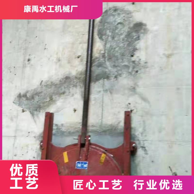 水電站鑄鐵閘門廠家現(xiàn)貨