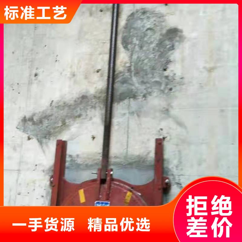 機閘一體式鑄鐵閘門規(guī)格齊全