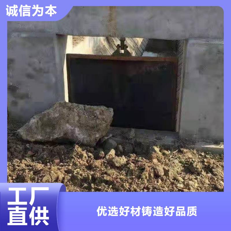 铸铁闸门,泵站清污机可定制