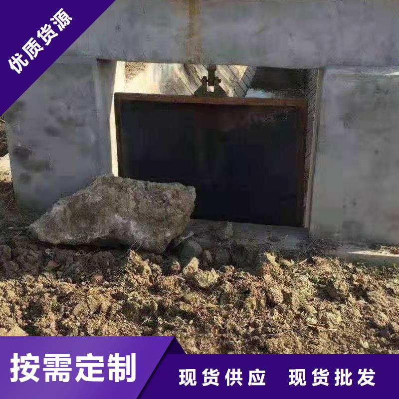 專業銷售復合閘門-優質