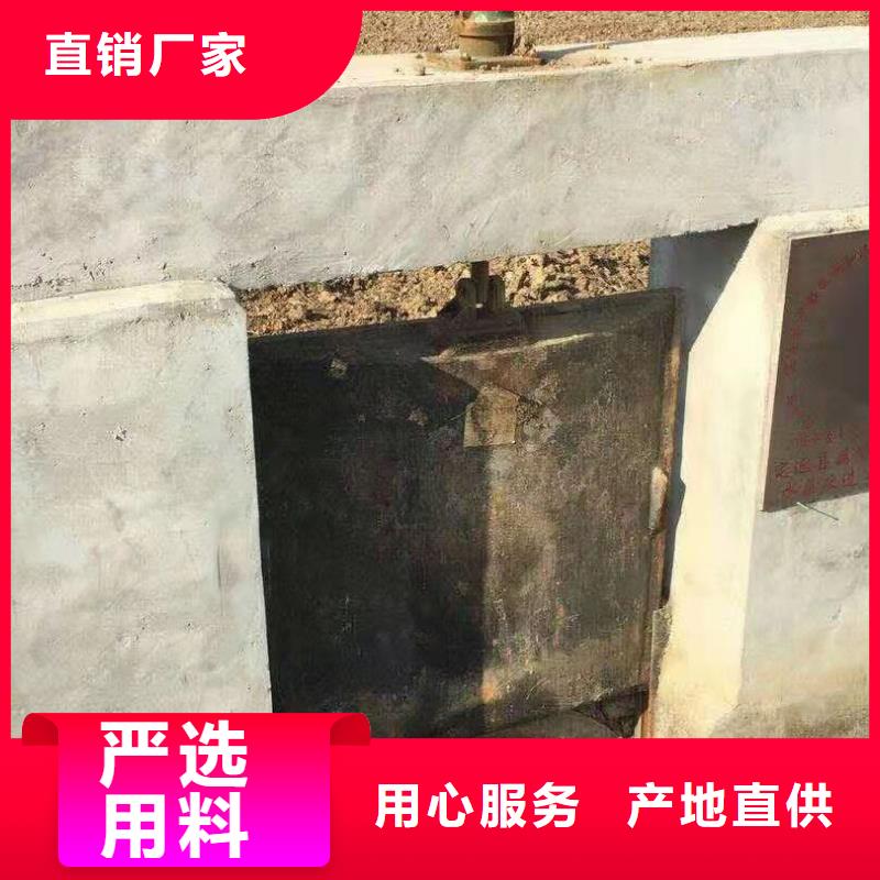 水電站鑄鐵閘門廠家直銷