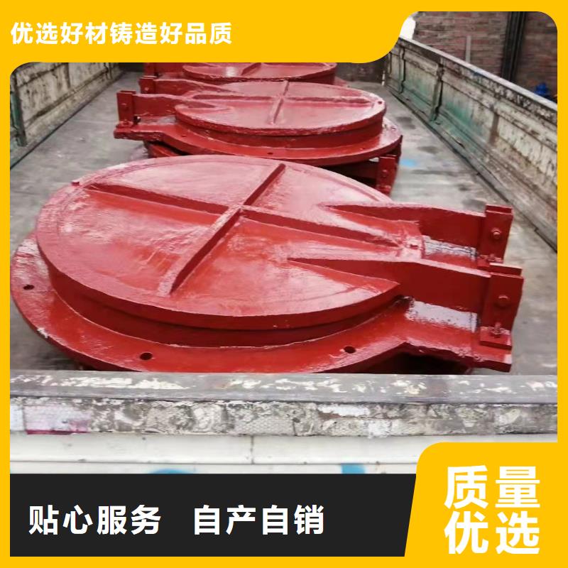 铸铁闸门实体诚信经营
