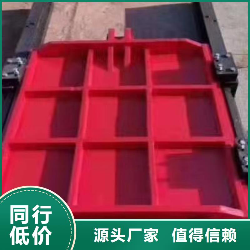 鑄鐵閘門_拍門廠家廠家采購