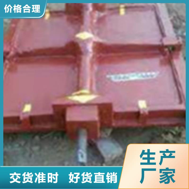 鑲銅鑄鐵閘門工廠直銷