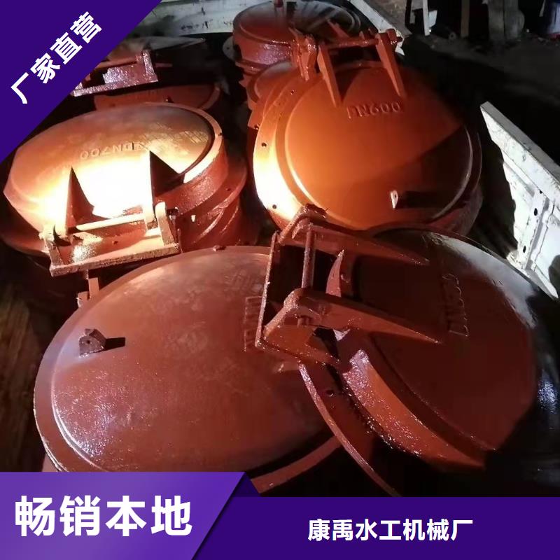 水電站鑄鐵閘門廠家直銷