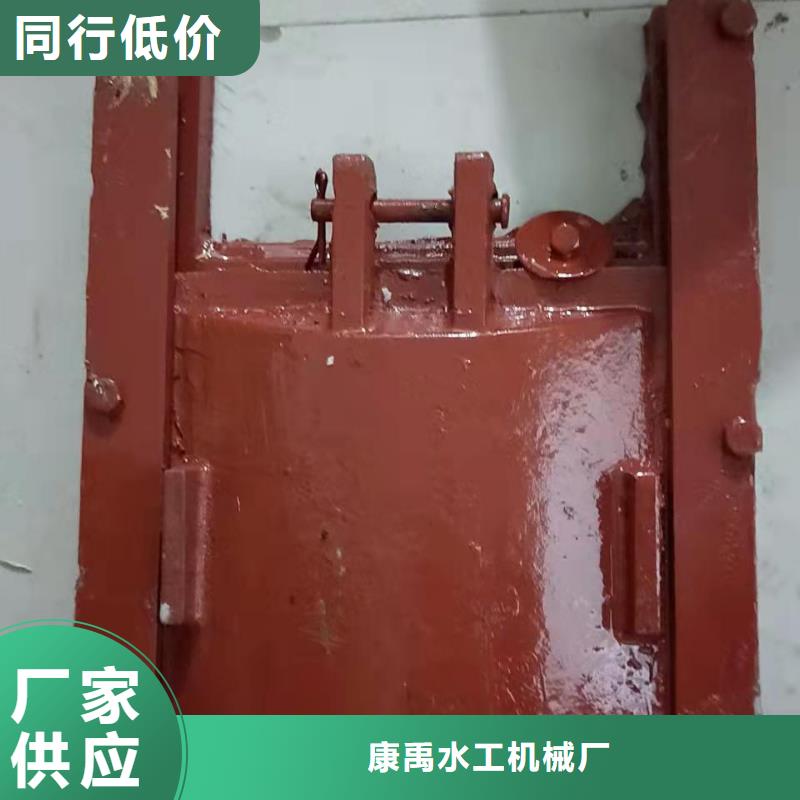  铸铁闸门的简单介绍